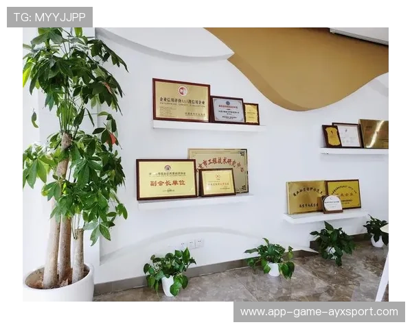 羽毛球职业联赛赞助商激励机制设计